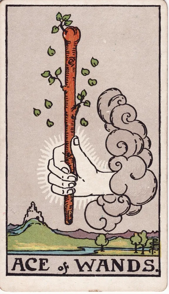 Ace of Wands tarot card