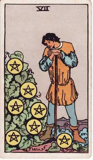 7 of Pentacles tarot card