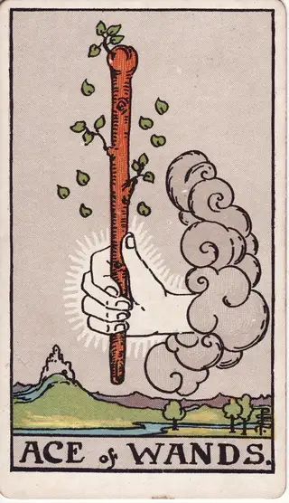 Ace of Wands tarot card